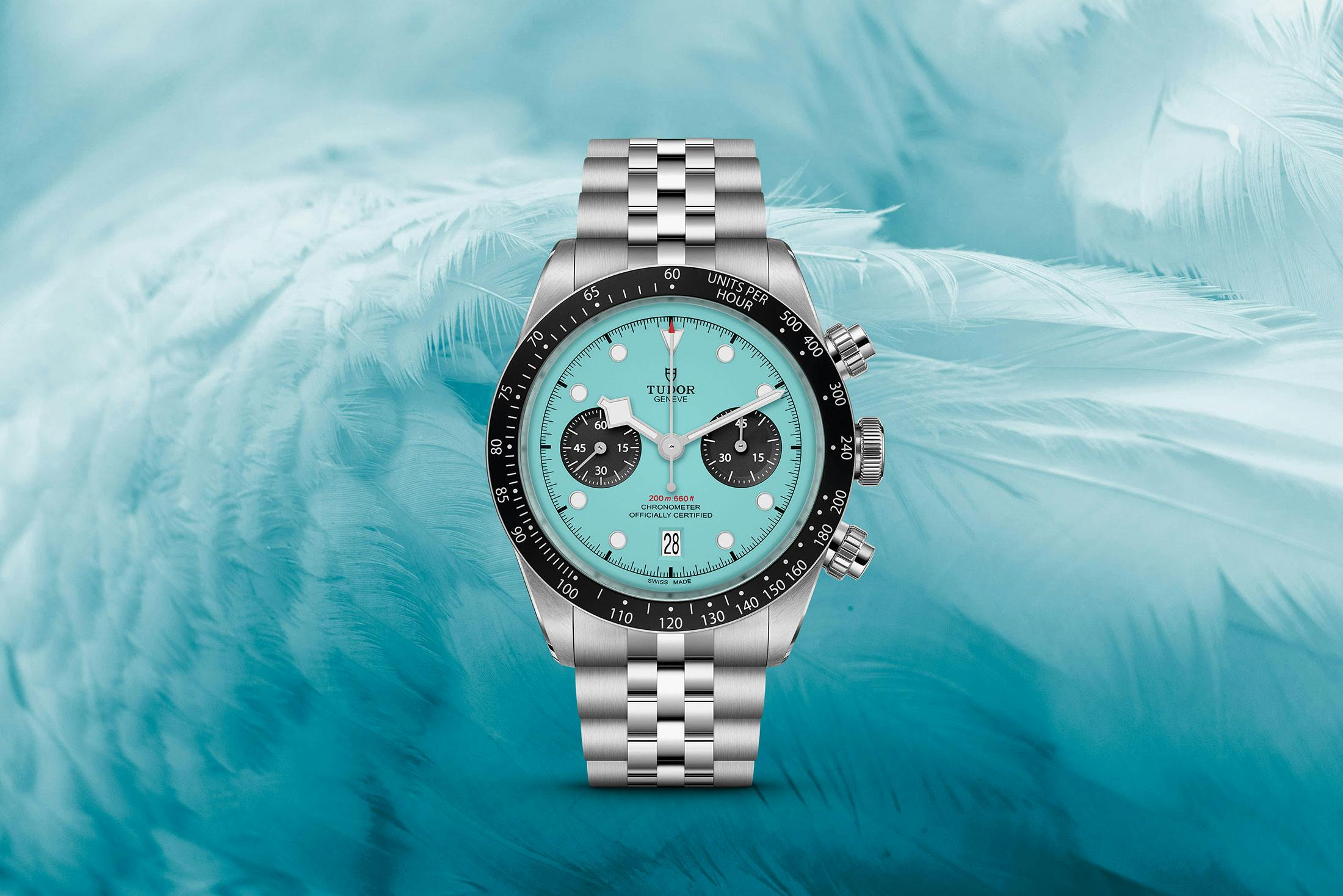 tudor black bay chrono