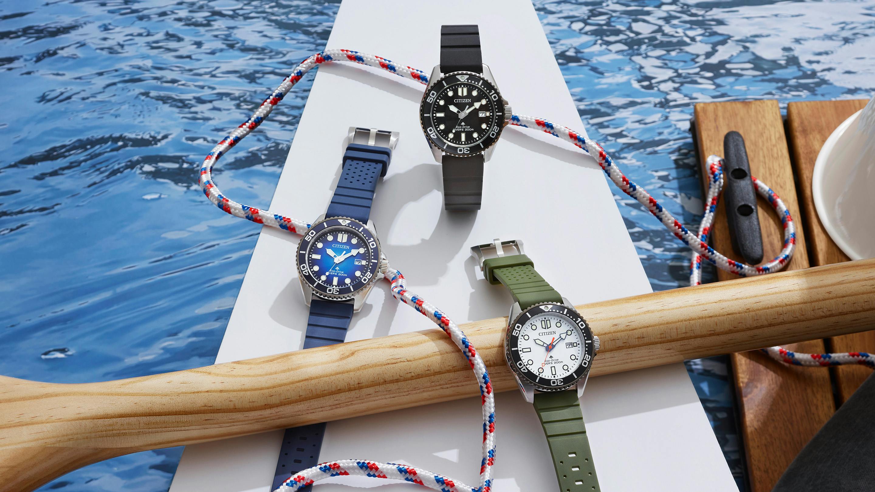 Introducing The New Citizen Promaster Dive